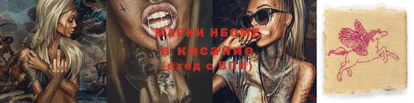 сатива Карпинск