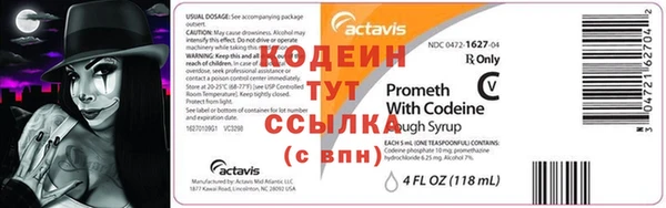 сатива Карпинск