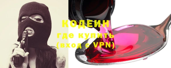 сатива Карпинск