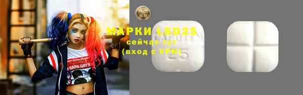 винт Нестеровская