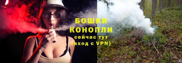ALPHA PVP Калининец
