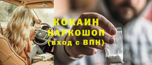 сатива Карпинск