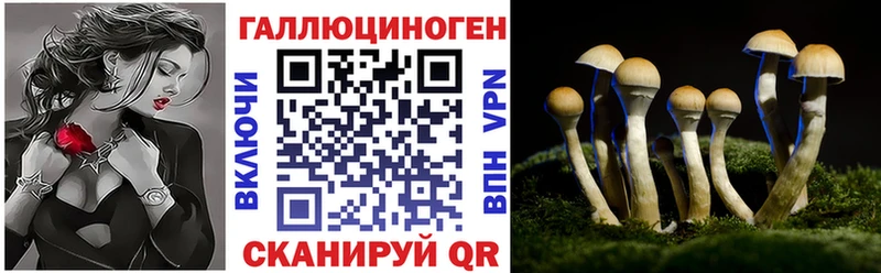 Галлюциногенные грибы Psilocybe  сколько стоит  Невинномысск 